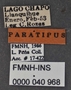 Ceroglossus valdiviae var penai PT labels